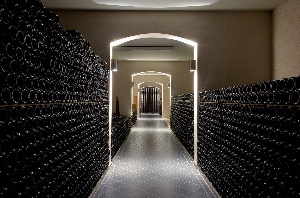 DEGUSTATION VERTICALE