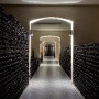 illustration : DEGUSTATION VERTICALE